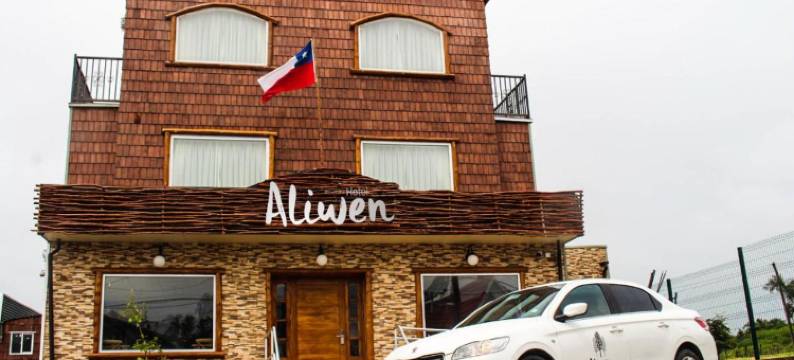 爱里温酒店(Hotel Aliwen)图片