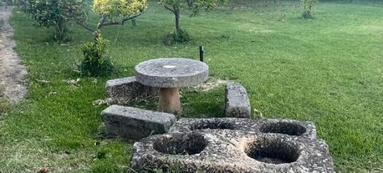 唐胡里奥乡村民宿(Don Julio)图片