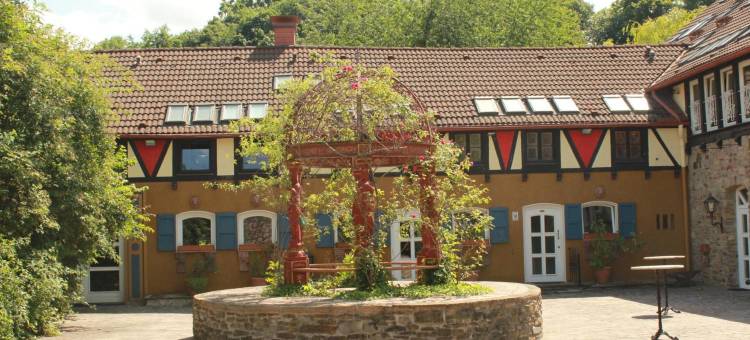 拉尔庄园酒店(Rittergut Haus Laer)图片