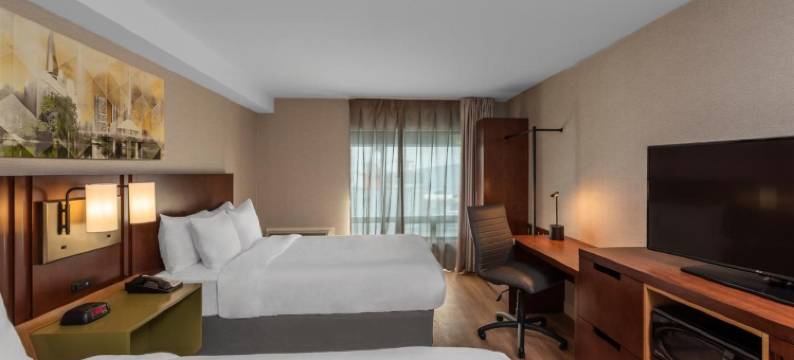 南部舒适酒店(Comfort Inn South)图片