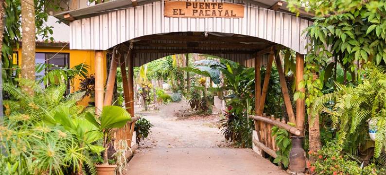 罗斯奎乔斯豪宅酒店(Mansión Los Guichos)图片