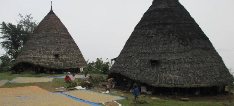 梅吉尔票务招待所(Mjr Ticketing Guest House)图片