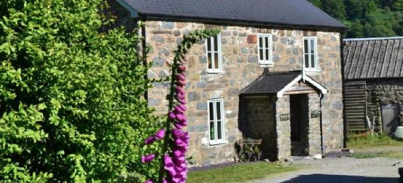 菲尔凯特乡村别墅民宿(The Firecat Country House Guesthouse)图片