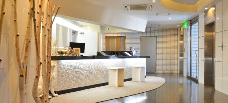 AreaOne酒店-带广(Hotel AreaOne Obihiro)图片