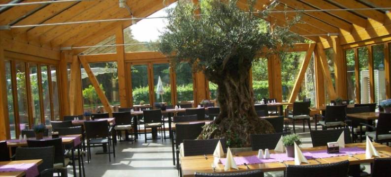 博腾密尔酒店(Hotel Boltenmühle)图片