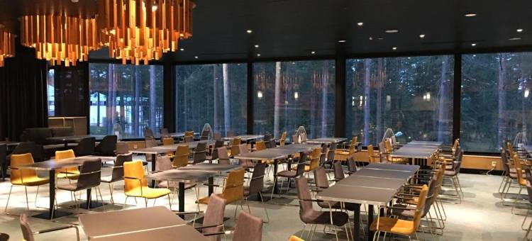 斯韦伊茨品质酒店(Quality Hotel Sveitsi)图片