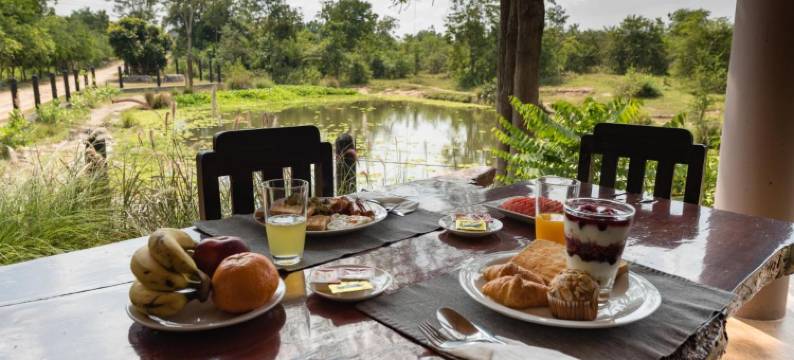 我爱大象度假村(I love phants Lodge)图片