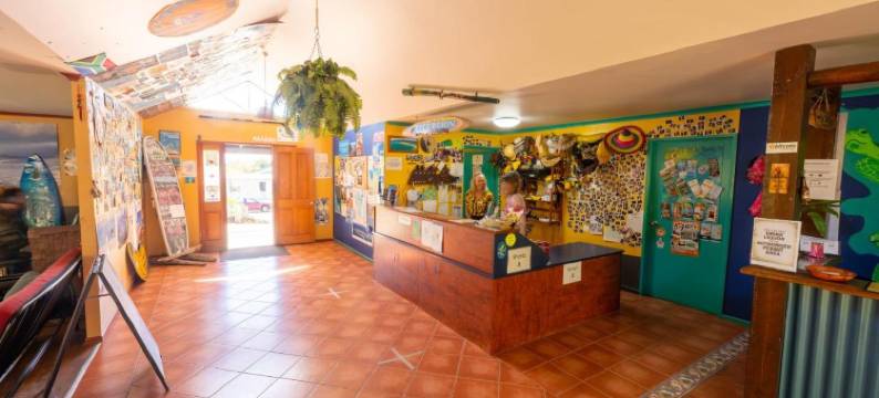 酷香蕉背包客旅馆(Cool Bananas Backpackers)图片