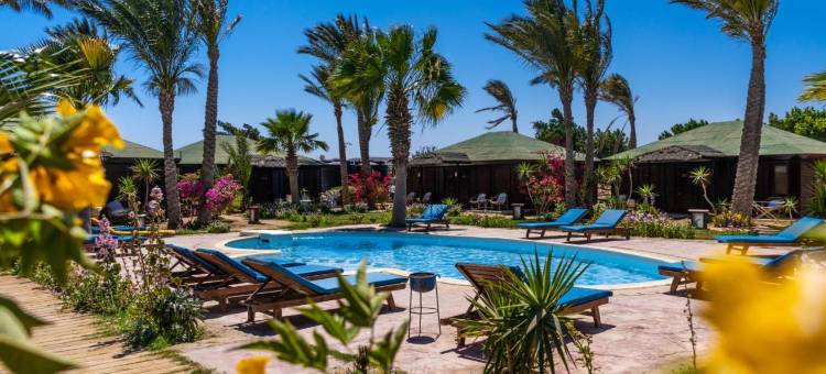 阿布达巴旅馆(Abu Dabbab Lodge)图片