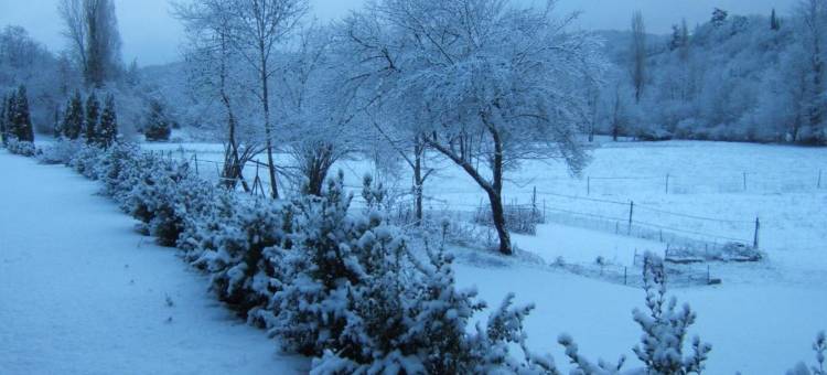 拉穆林酒店(La Mouline)图片