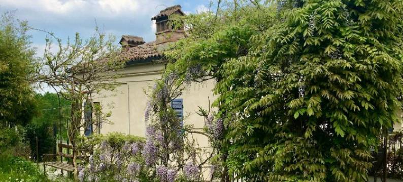 马尔卡里尼农庄酒店(Marcarini Agriturismo)图片