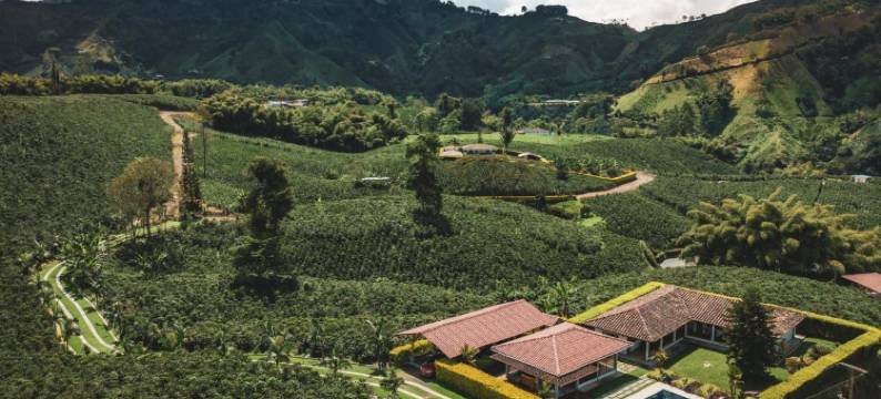 The Coffee Club Campestre图片