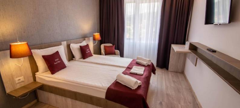 乌苏尔内格鲁别墅(Vila Ursul Negru)图片