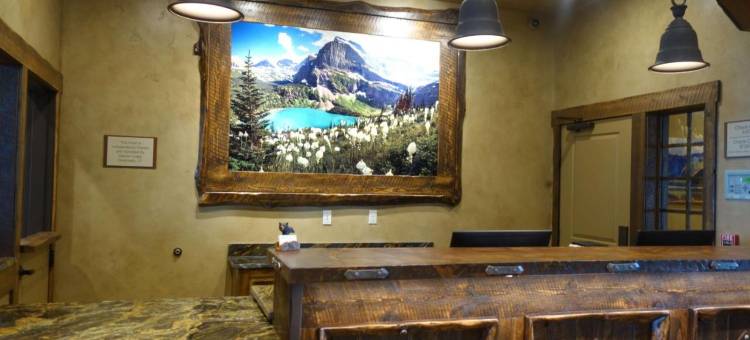Glacier International Lodge国际旅馆(Glacier International Lodge)图片