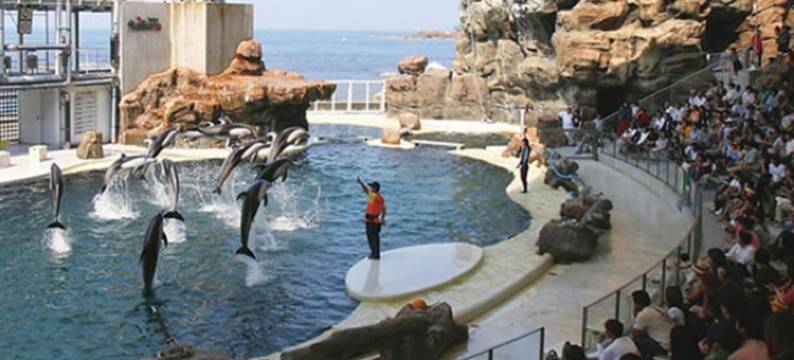 休暇村 竹野海岸(Kyukamura Takeno-Kaigan)图片