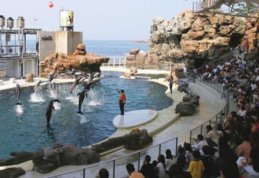 Kyukamura Takeno-Kaigan Hotel Overview