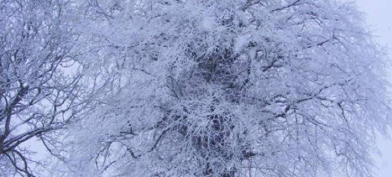 Ballyhargan Farm House图片