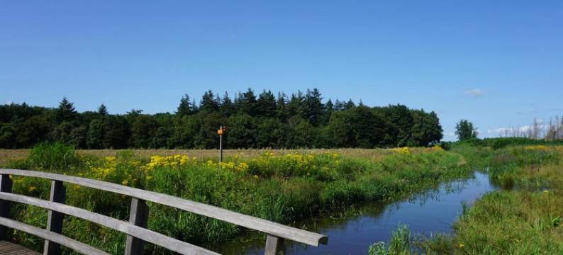 B&B Aan Het BOS图片