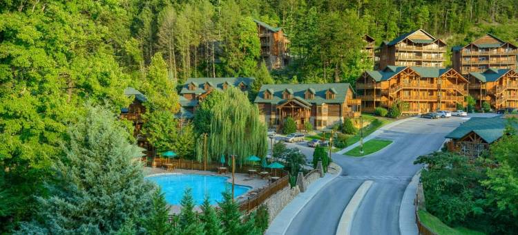 西门大烟山水疗度假村(Westgate Smoky Mountain Resort & Spa)图片