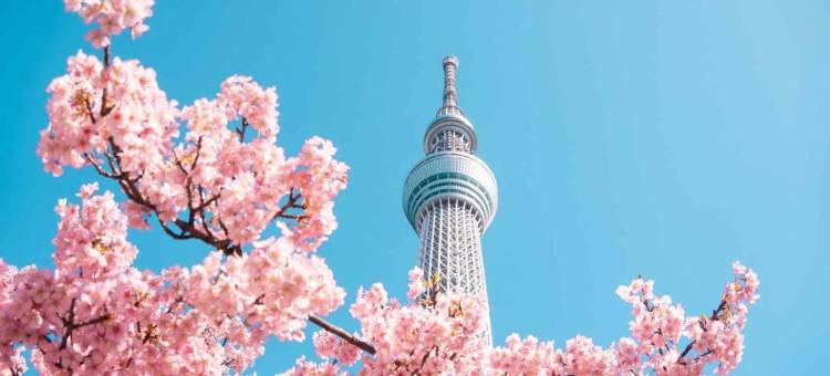 东京Luce池袋-温馨公寓, 直达新宿和涩谷(Luce Ikebukuro - Cozy APT Stay in Ikebukuro Tokyo, with Direct Access to Shinjuku & Shibuya)图片
