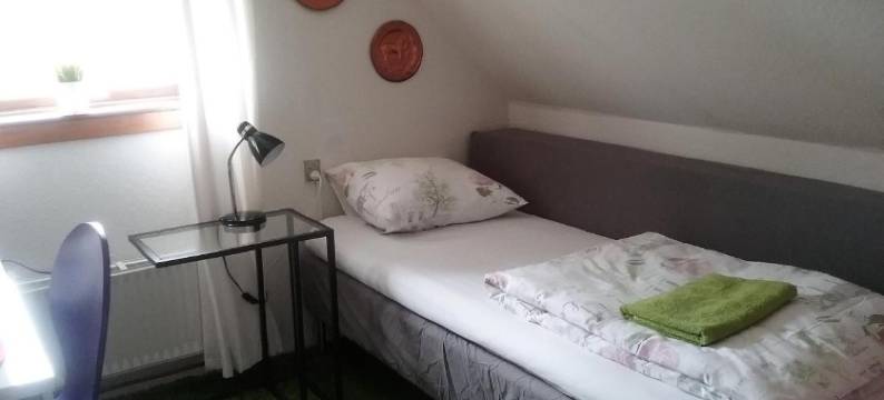 Svalegaarden Guesthouse图片