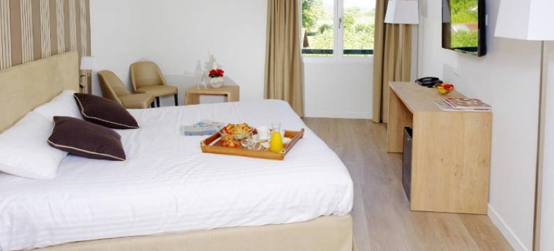 尼韦勒罗吉斯酒店(Logis Hotel de la Nivelle)图片