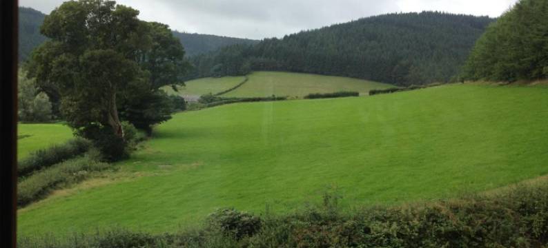劳雷尔班可住宿加早餐旅馆(Laurel Bank)图片