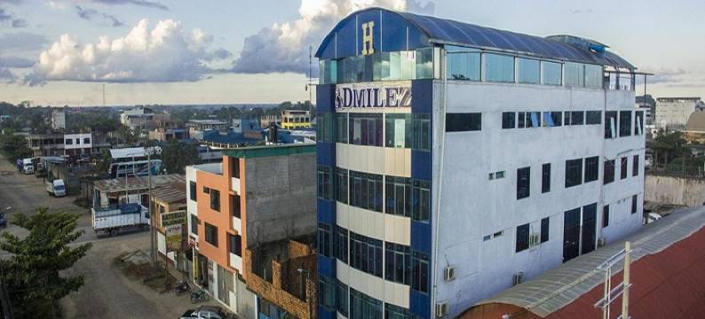 迪梅利兹酒店(D´Milez Hotel)图片