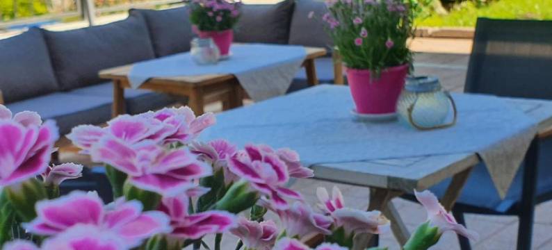 施密特霍夫酒店(Hotel der Schmittenhof)图片