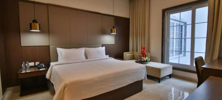 阿科德铬(Accord Chrome)图片