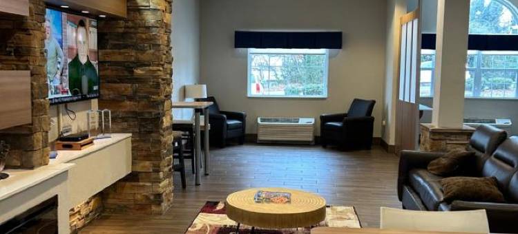 林奇堡温德姆麦客达套房酒店(Microtel Inn & Suites by Wyndham Lynchburg)图片