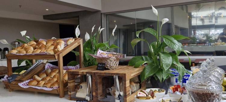 Tulip Inn Bauru图片