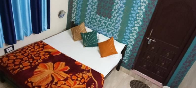 哈维利塔拉加尔宫酒店(Haveli Taragarh Palace)图片