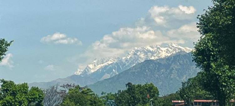 比尔胡子酒店(Destination Bir)图片