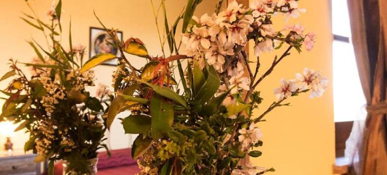 普拉特瓦农家乐(Agriturismo Pratovalle)图片