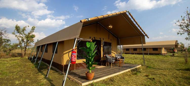 非洲萨法里塞伦盖蒂科加滕德山林小屋(Africa Safari Serengeti Kogatende)图片