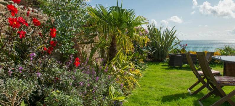 克利夫顿民宿(The Clifton)图片