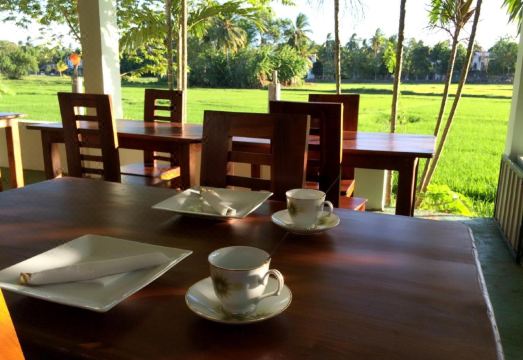 Thisara Guest House Hotel Overview