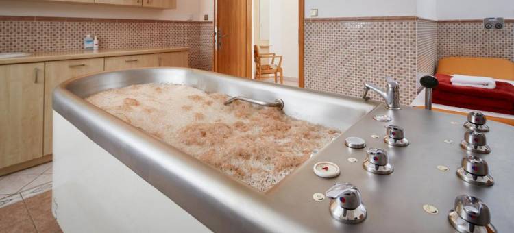 玛丽亚温泉市兹翁宫奥瑞亚水疗酒店(Orea Spa Hotel Palace Zvon Mariánské Lázně)图片