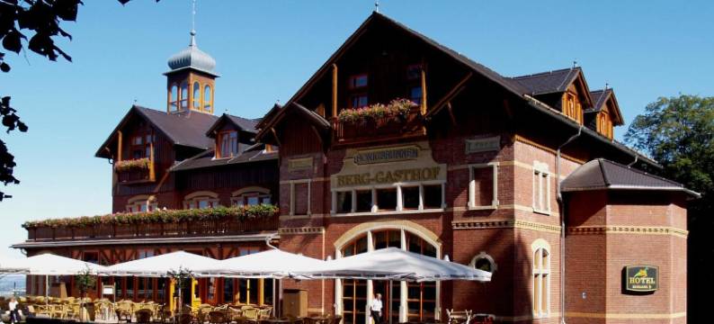 甜蜜喷泉山地旅馆(Berg-Gasthof Honigbrunnen)图片