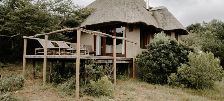 布克拉野生动物旅馆 - 阿马卡拉野生动物保护区(Bukela Game Lodge - Amakhala Game Reserve)图片