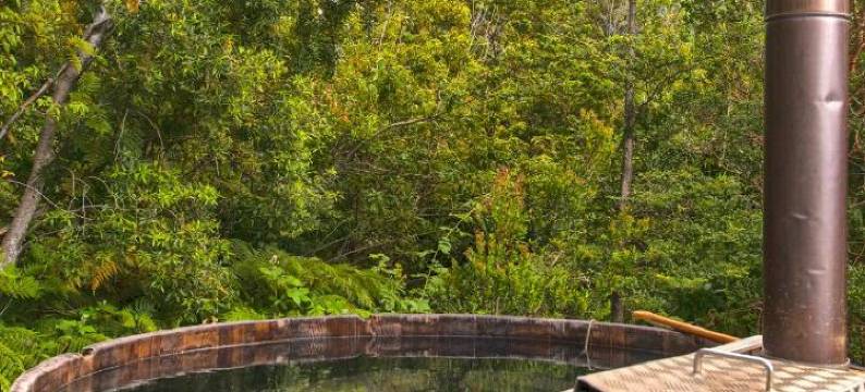 米提科普埃洛旅馆(Mitico Puelo Lodge)图片