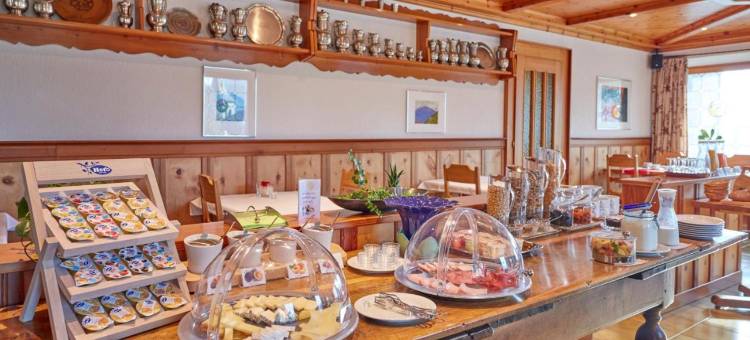 阿尔本布利克酒店(Hotel Alpenblick)图片