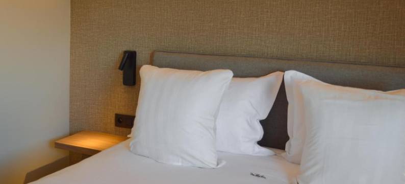萨尔姆酒店(Hotel de Zalm)图片