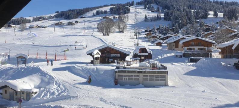 比沙内山酒店(Chalet Hotel le Mont Bisanne)图片