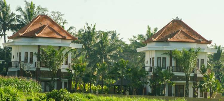 Cenik Villa Ubud图片