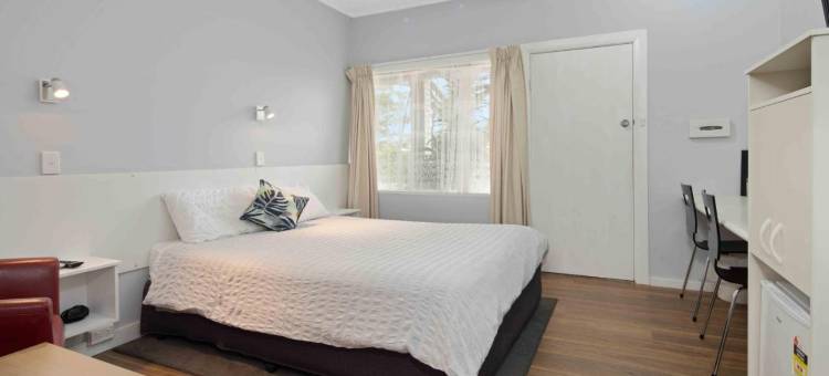 树汽车旅馆(The Tree Motel)图片