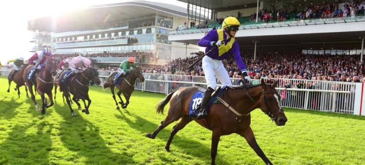 旅行者哥尔韦旅游宾馆(Travelodge Plus Galway)图片