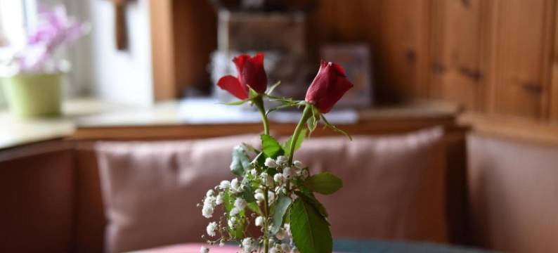 格林豪泰乡村酒店(Landgasthof Grüner Baum)图片