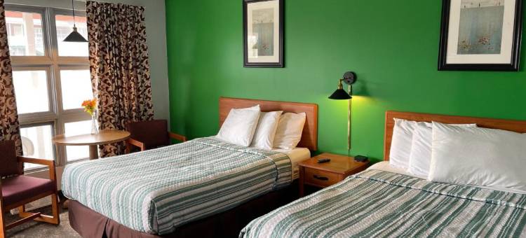 松树溪汽车旅馆(Pinebrook Motel)图片